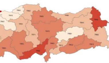 EN YÜKSEK YOKSULLUK ADANA VE MERSİN’DE