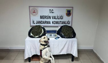 Uyuşturucu madde ticareti yapan 3 kişi yakalandı