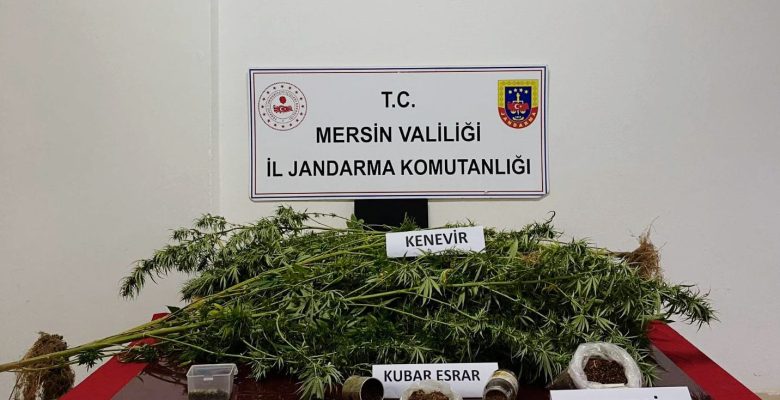 JANDARMADAN UYUŞTURUCU OPERASYONU: 1 TUTUKLU