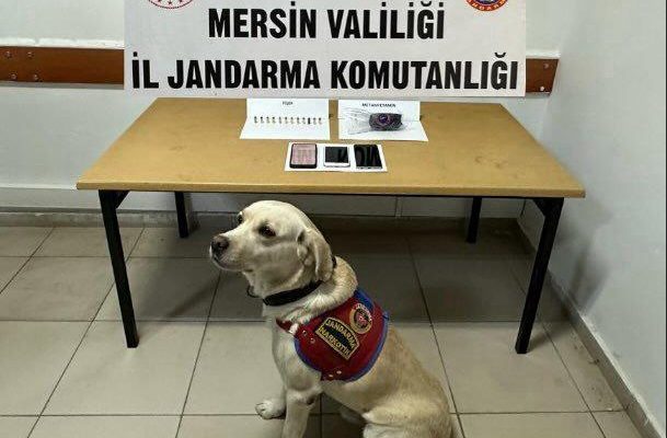 JANDARMADAN UYUŞTURUCU OPERASYONU (8) GÖZALTI